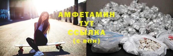 индика Белокуриха