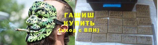 стафф Богданович
