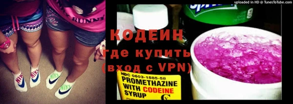 индика Белокуриха