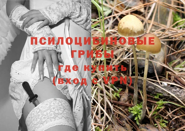спайс Богородск
