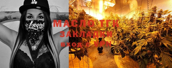 mix Богородицк