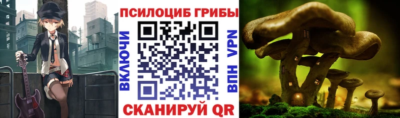 Псилоцибиновые грибы Magic Shrooms  Балашов 